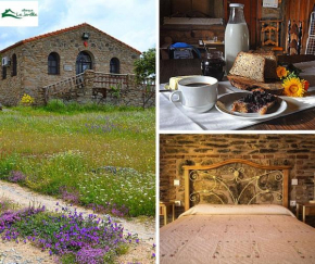 Hotels in Plasenzuela